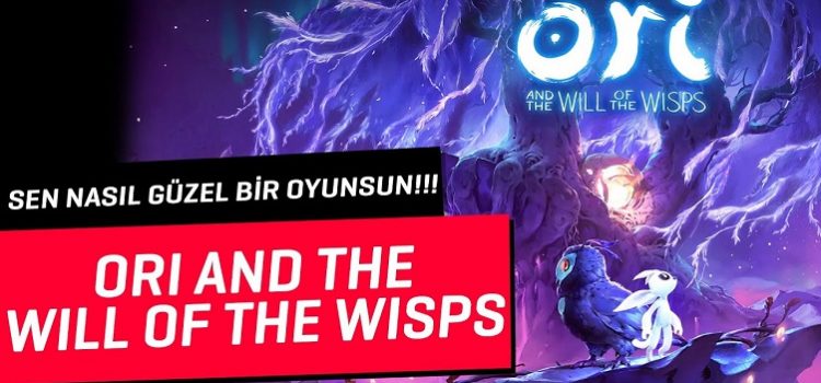 Ori and the Will of The Wisps | SONUNDA GÜZEL BİR OYUN!